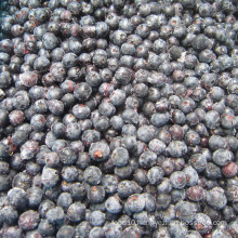 IQF Freezing Organic Blueberry Zl-100065